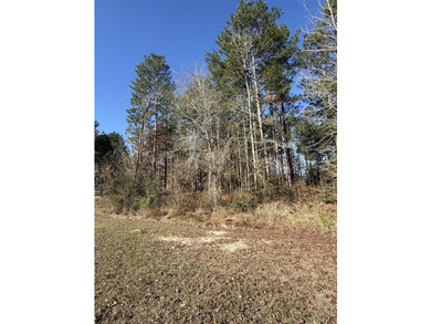 This beautiful partially wooded lot on Hole 14 of Shadow Ridge - photo 4
