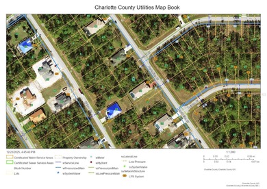 What a great property to build your Florida dream home or in - photo 3