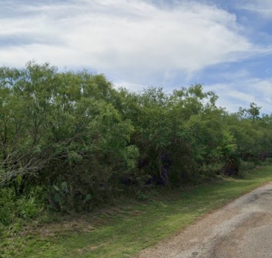 Lake Corpus Christi Lot For Sale in Sandia Texas