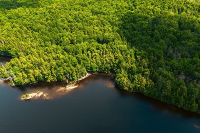 Lake Lot For Sale in Notre-Dame-du-Laus,