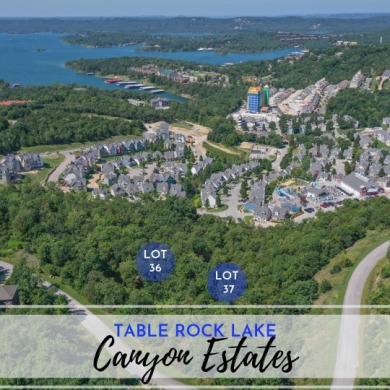 Table Rock Lake Lot For Sale in Branson Missouri