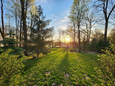 Lake Lot For Sale in Decatur, Michigan