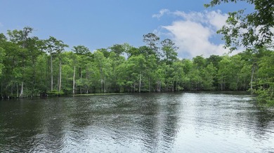 Discover your oasis in the highly desirable gated community of - photo 50