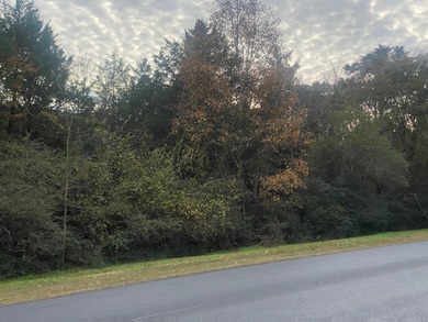 Greers Ferry Lake Lot For Sale in Heber Springs Arkansas