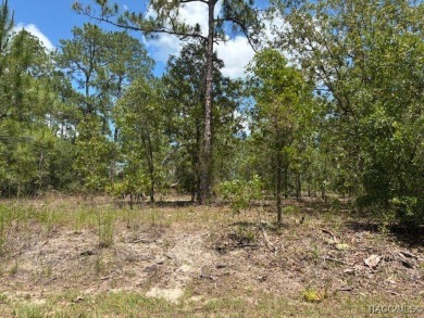 Lake Lot For Sale in Dunnellon, Florida