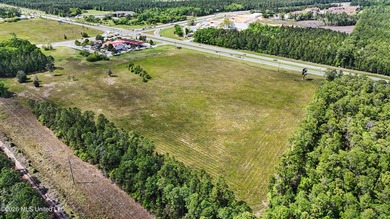 +/- 21.49 Acres of prime commercial property located in Gautier - photo 2