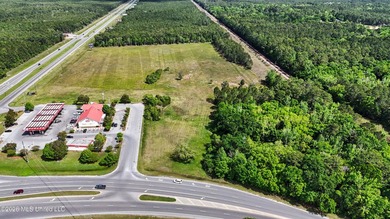 +/- 21.49 Acres of prime commercial property located in Gautier - photo 3