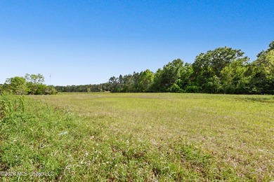 +/- 21.49 Acres of prime commercial property located in Gautier - photo 8