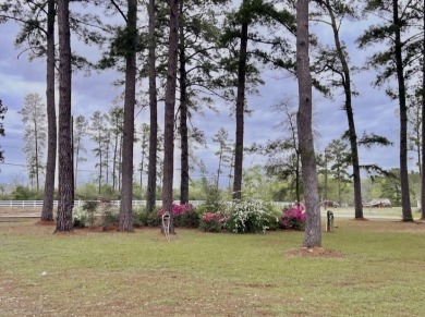 PERFECT LAKE RETREAT! - photo 25