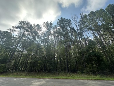 Strom Thurmond / Clarks Hill Lake Lot For Sale in Parksville South Carolina