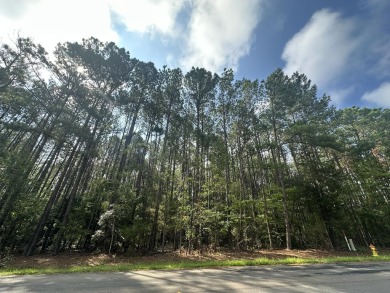 Strom Thurmond / Clarks Hill Lake Lot For Sale in Parksville South Carolina