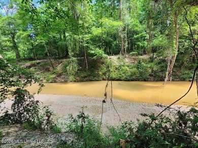 Hunting Cabin on 63 Acres in Franklin County, Mississippi - photo 4