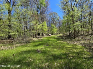 Hunting Cabin on 63 Acres in Franklin County, Mississippi - photo 6