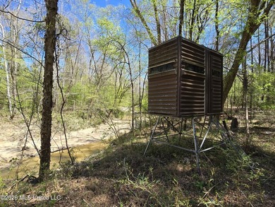 Hunting Cabin on 63 Acres in Franklin County, Mississippi - photo 7