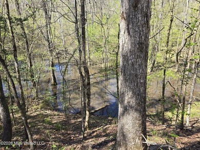 Hunting Cabin on 63 Acres in Franklin County, Mississippi - photo 10