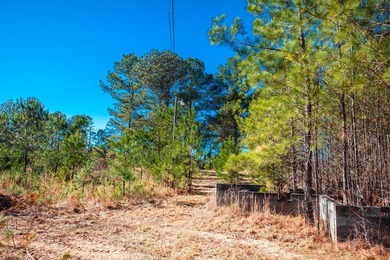 Rare opportunity in Appling! 9.3 acres of mostly fenced land - photo 14