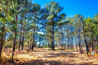 Rare opportunity in Appling! 9.3 acres of mostly fenced land - photo 15