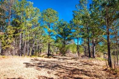 Rare opportunity in Appling! 9.3 acres of mostly fenced land - photo 17