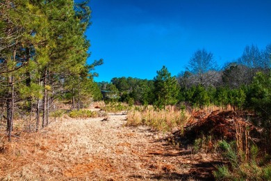 Rare opportunity in Appling! 9.3 acres of mostly fenced land - photo 18