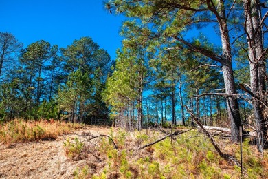 Rare opportunity in Appling! 9.3 acres of mostly fenced land - photo 19