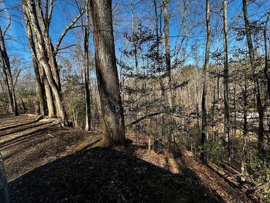 Ocona Lake Lot For Sale in Whittier North Carolina