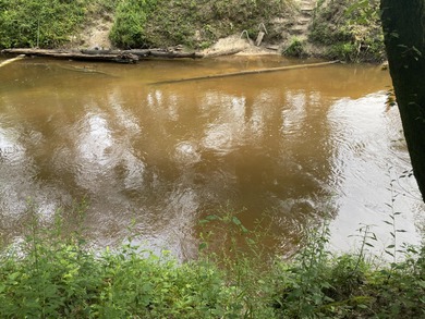 (private lake, pond, coastal) Lot For Sale in Columbia Mississippi