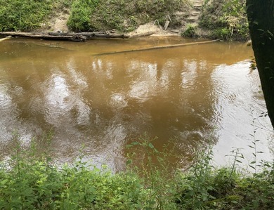 (private lake, pond, coastal) Lot For Sale in Columbia Mississippi