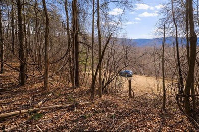 (private lake, pond, coastal) Lot For Sale in Waynesville North Carolina