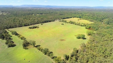 98+/- Acres | Kiamichi River Access | Ponds | Scenic Views | - photo 12