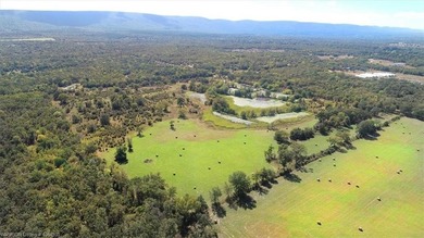 98+/- Acres | Kiamichi River Access | Ponds | Scenic Views | - photo 13