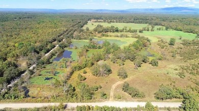 98+/- Acres | Kiamichi River Access | Ponds | Scenic Views | - photo 14