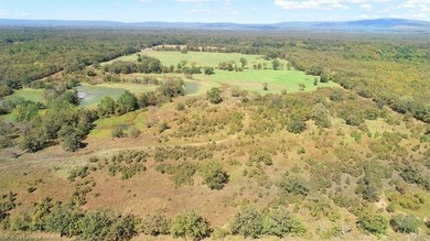 98+/- Acres | Kiamichi River Access | Ponds | Scenic Views | - photo 15