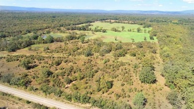 98+/- Acres | Kiamichi River Access | Ponds | Scenic Views | - photo 16