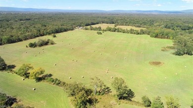 98+/- Acres | Kiamichi River Access | Ponds | Scenic Views | - photo 17