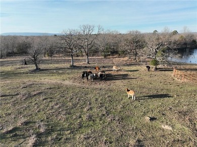 98+/- Acres | Kiamichi River Access | Ponds | Scenic Views | - photo 21