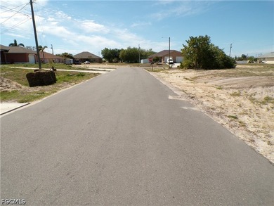 This Corner lot and adjoining lot presents a prime opportunity - photo 22