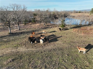 98+/- Acres | Kiamichi River Access | Ponds | Scenic Views | - photo 22