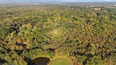 98+/- Acres | Kiamichi River Access | Ponds | Scenic Views | - photo 24