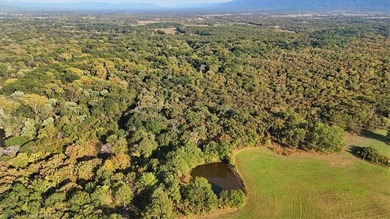 98+/- Acres | Kiamichi River Access | Ponds | Scenic Views | - photo 25