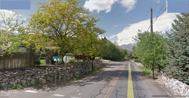 Owner/Agent, Do Not Disturb Tenants, No HOA, Bring Your Own - photo 9
