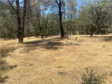 Oroville Lake Lot For Sale in Oroville California