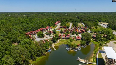PLEASE VIEW VIRTUAL TOUR LINK! Welcome to lake living in the - photo 33