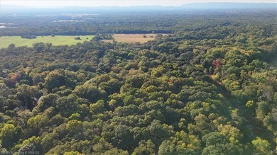 98+/- Acres | Kiamichi River Access | Ponds | Scenic Views | - photo 35