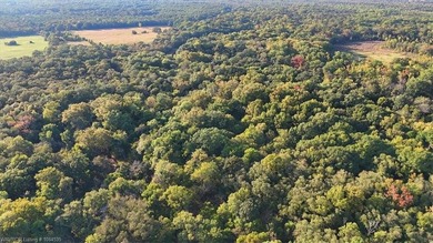 98+/- Acres | Kiamichi River Access | Ponds | Scenic Views | - photo 36