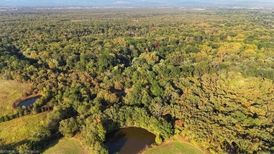 98+/- Acres | Kiamichi River Access | Ponds | Scenic Views | - photo 38