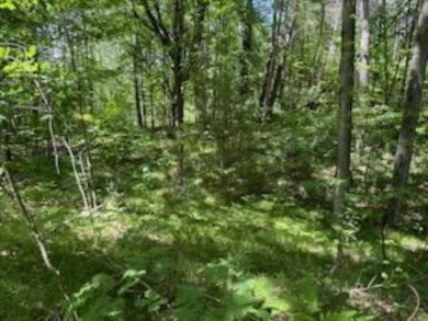 (private lake, pond, creek) Lot For Sale in Lake Michigan