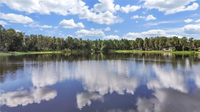 Lake Acreage For Sale in Odessa, Florida