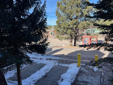 Elegantly remodeled Snow Fire unit with great location and - photo 15