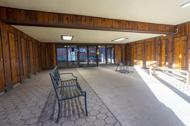 Elegantly remodeled Snow Fire unit with great location and - photo 23