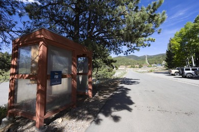 Elegantly remodeled Snow Fire unit with great location and - photo 24